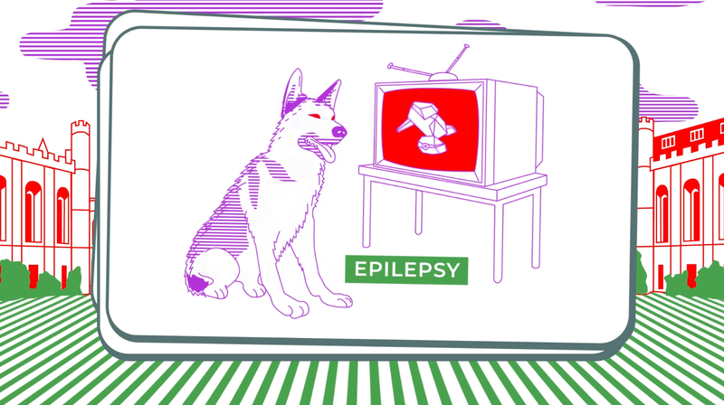 Illustration for article titled Canine Epilepsy and Purple Squiggles: The Unexpected Success Story of SET